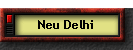 Neu Delhi